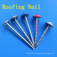 Colorido Roofing Nail con la cabeza del paraguas